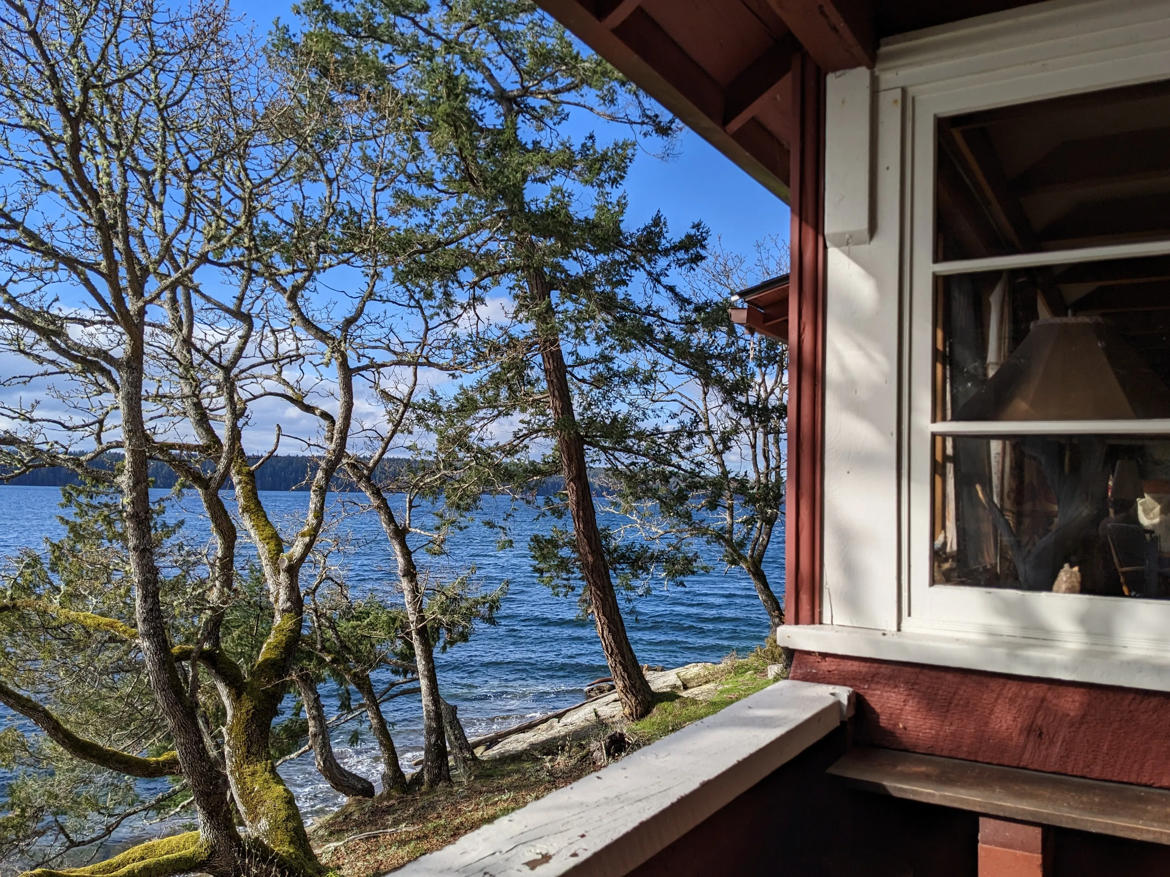 A landscape showing the ocean, blocked from view by some trees. taken from a wooden balcony overlooking the ocean.