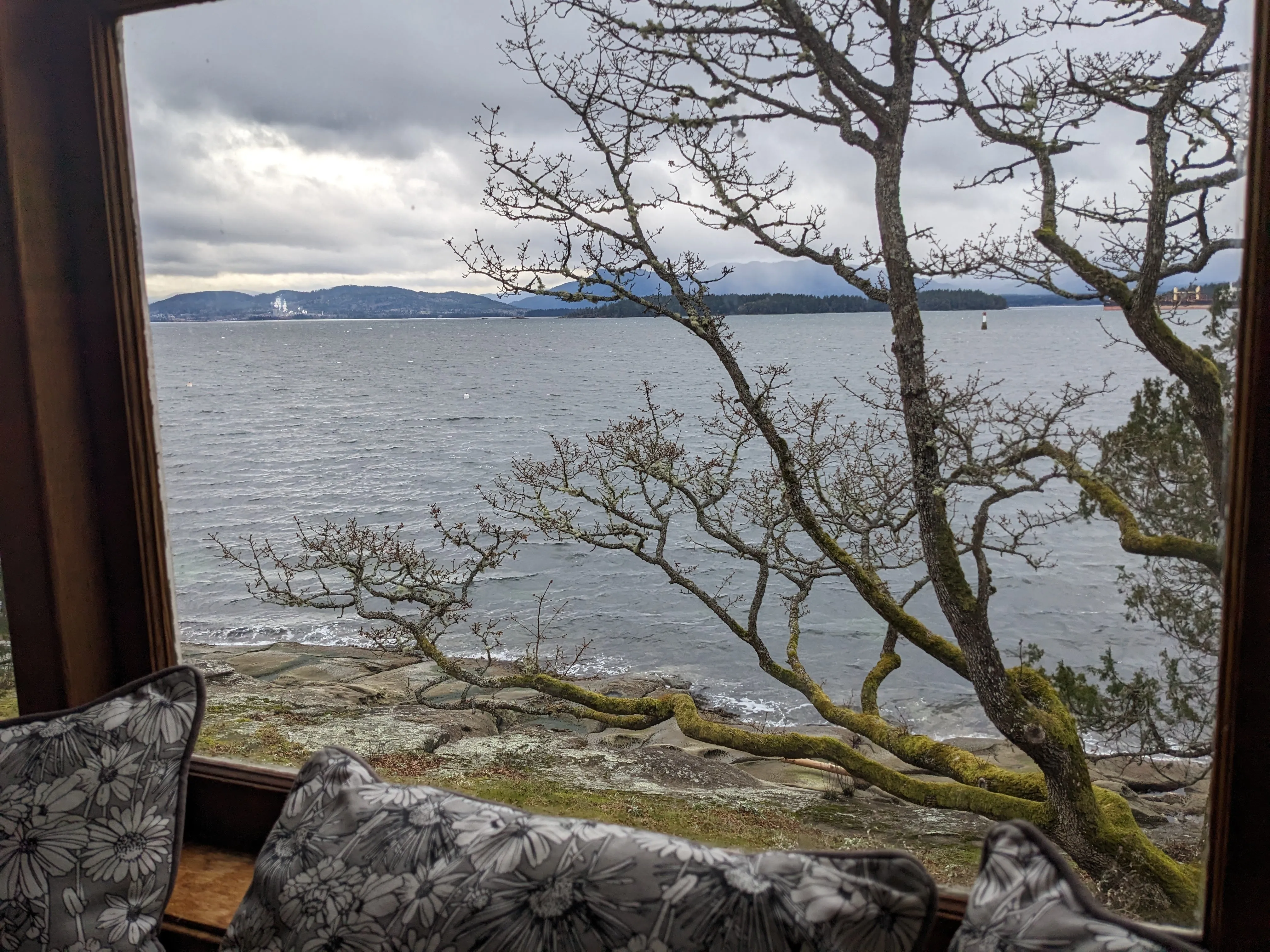 A landscape from within a reading nook. The ocean and other islands are visible from the reading nook. A tree blocks the way.